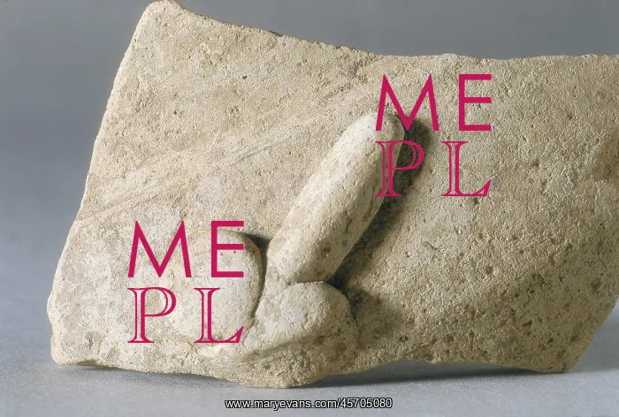 : Fragment of pottery with phallic representation : Fragment of pottery with phallic representation