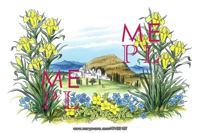 : Frame of flowers with landscape : Frame of flowers with landscape