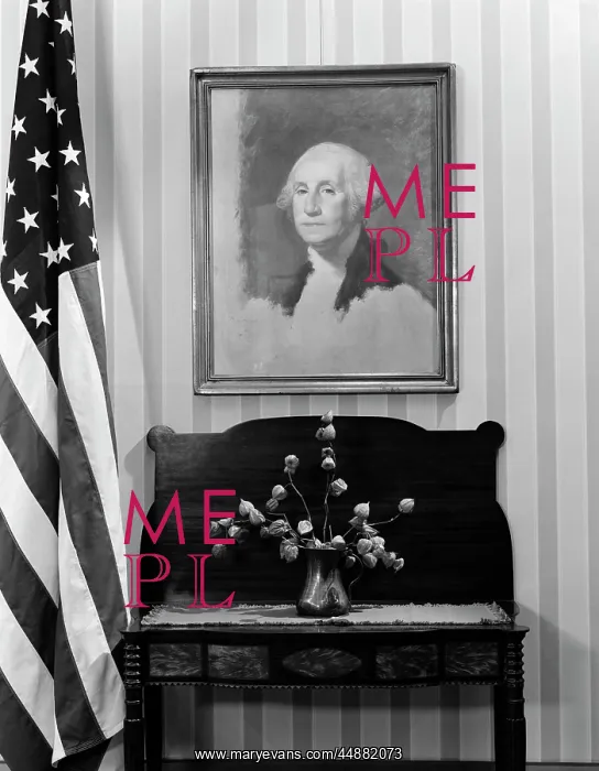 : Framed Portrait George Washington : Framed Portrait George Washington
