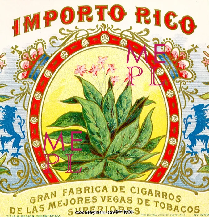  : Framed Tobacco Plant