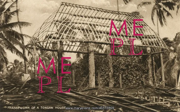 : Framework of a Tongan House : Framework of a Tongan House