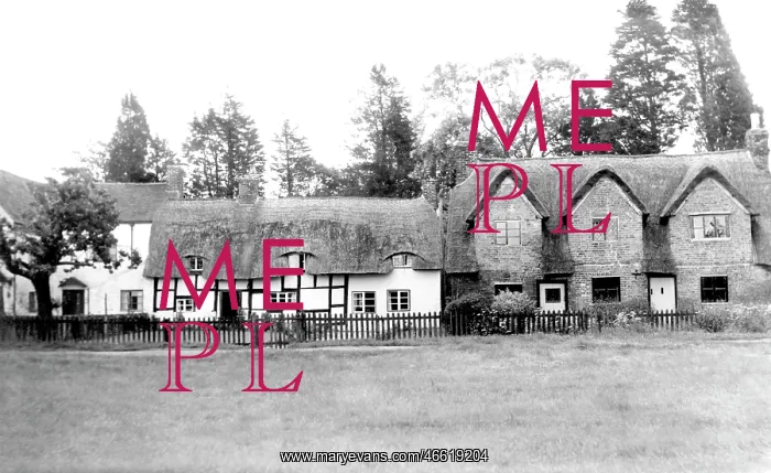  : Frampton on Severn, Thatched Cottages c1955