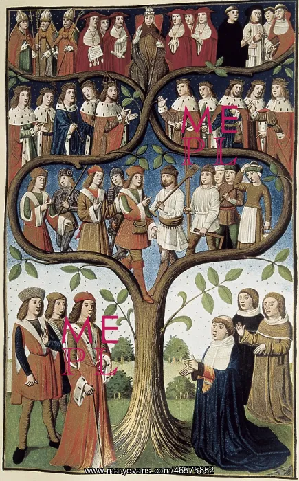 : France (15th c.). The hierarchy of the social : France (15th c.). The hierarchy of the social
