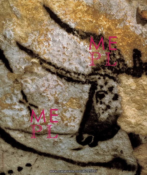  : FRANCE. Montignac. The Cave of Lascaux. Bull head