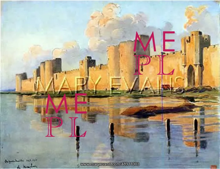  : FRANCE / AIGUES-MORTES