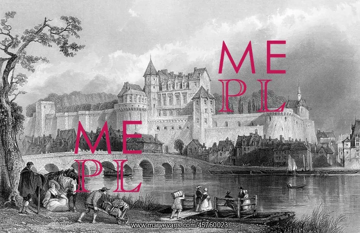  : FRANCE  /  AMBOISE