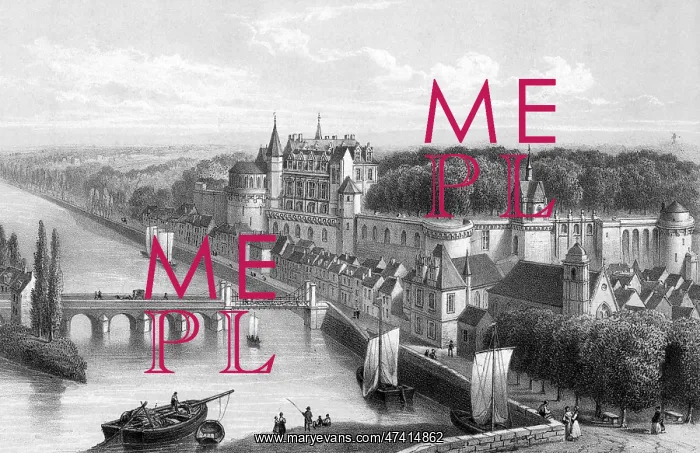  : FRANCE  /  AMBOISE