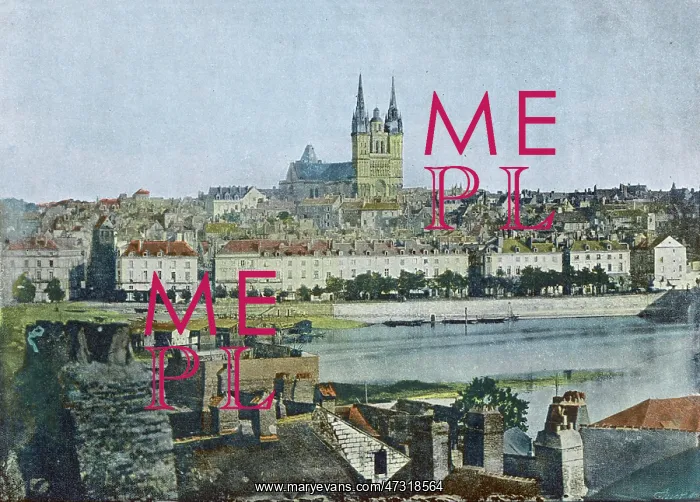  : FRANCE / ANGERS C1900