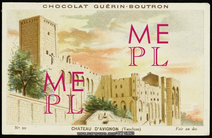  : FRANCE / AVIGNON CHATEAU
