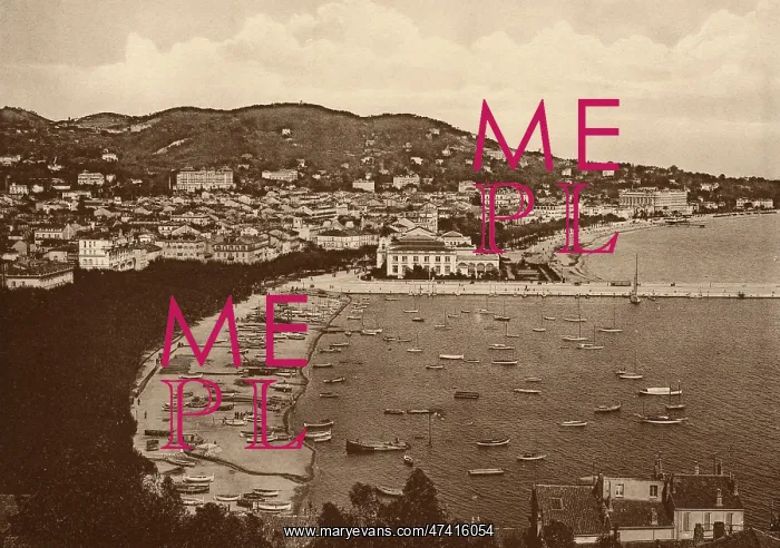 : FRANCE CANNES : FRANCE CANNES