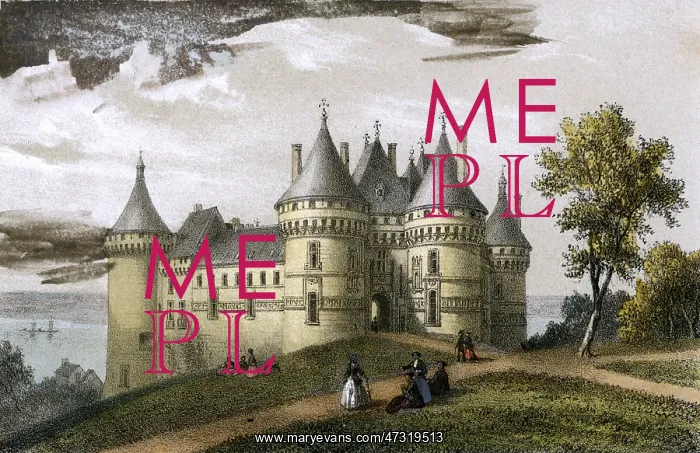  : FRANCE / CHAUMONT CHATEAU