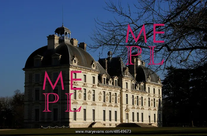 : France. Cheverny Castle : France. Cheverny Castle