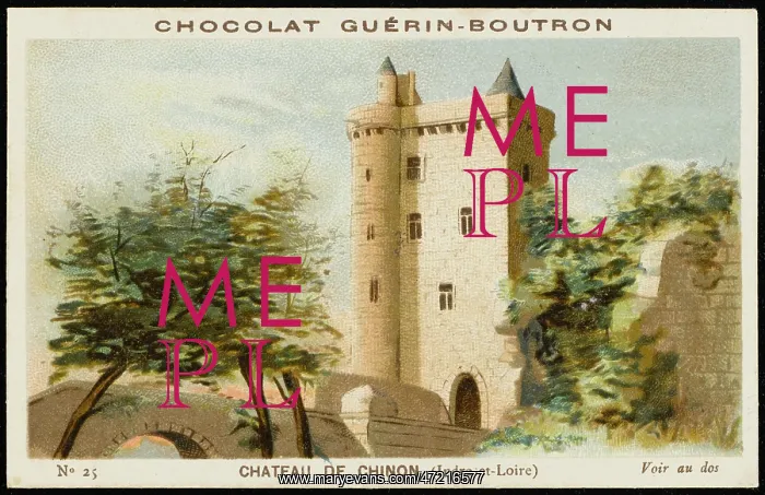  : FRANCE / CHINON