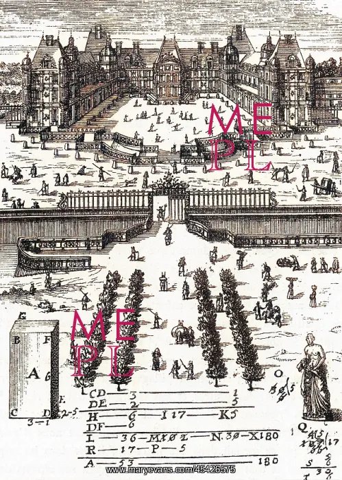 : FRANCE MEUDON : FRANCE MEUDON