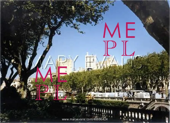 : FRANCE / NARBONNE : FRANCE / NARBONNE
