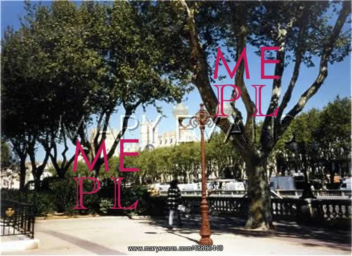 : FRANCE / NARBONNE : FRANCE / NARBONNE