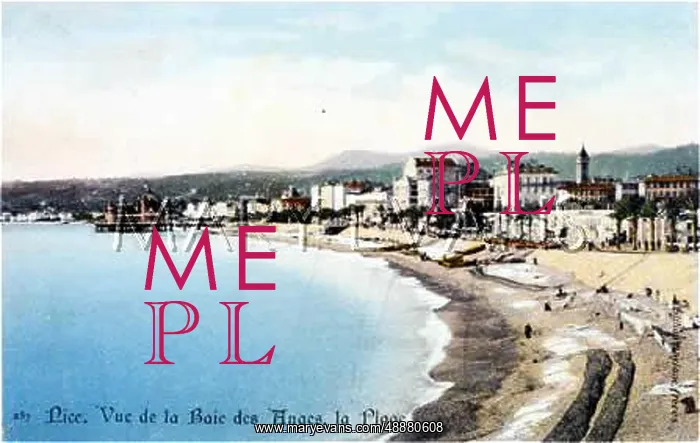  : FRANCE / NICE / BAIE ANGES