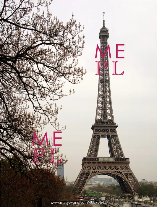 : France. Paris. Eiffel Tower by Gustave Eiffel (1832-1923). I : France. Paris. Eiffel Tower by Gustave Eiffel (1832-1923). I
