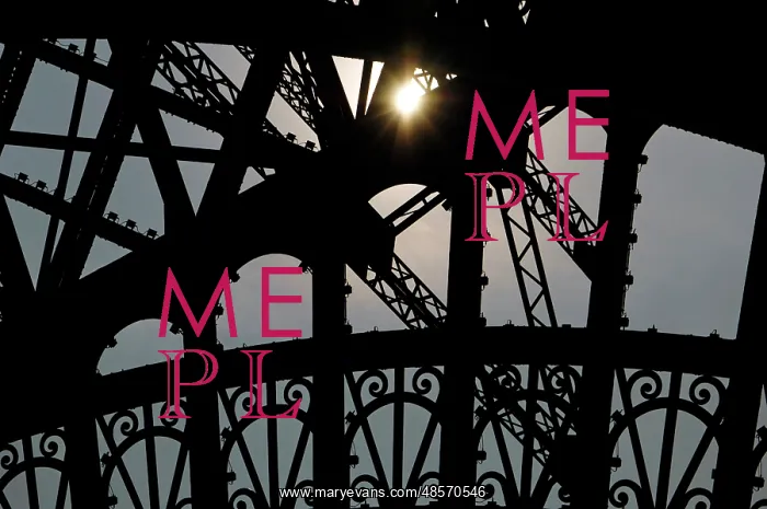 : France. Paris. Eiffel Tower by Gustave Eiffel (1832-1923). I : France. Paris. Eiffel Tower by Gustave Eiffel (1832-1923). I