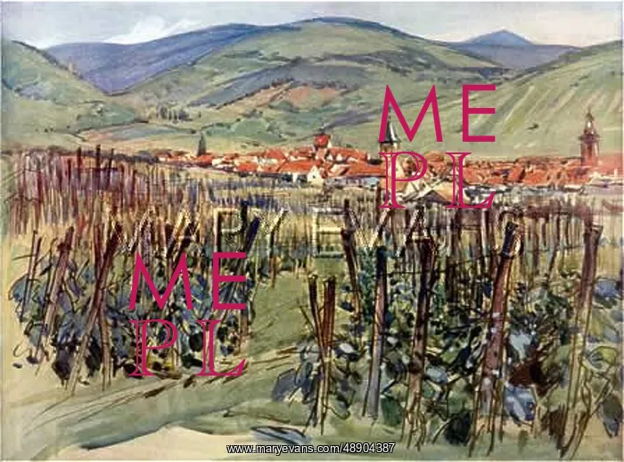  : FRANCE / RIQUEWIHR C1930
