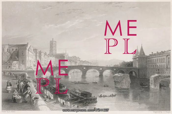 : FRANCE / TOULOUSE / BRIDGE : FRANCE / TOULOUSE / BRIDGE