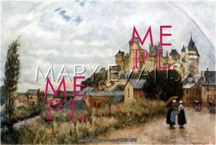  : FRANCE / VITRE CHATEAU