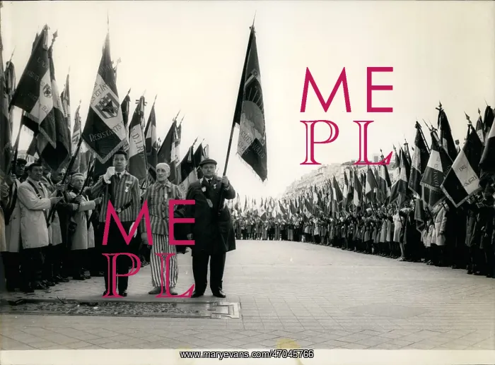 : France WWII : France WWII