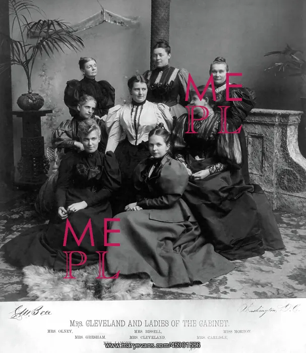 : Frances Cleveland - Grover Cleveland : Frances Cleveland - Grover Cleveland