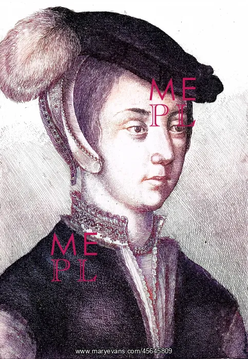: Frances Countess Surrey : Frances Countess Surrey