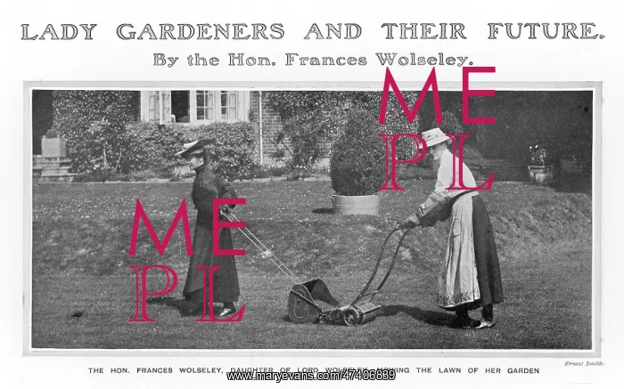 : Frances Wolseley Mowing : Frances Wolseley Mowing