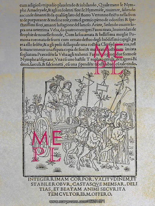 : Francesco Colonna : Francesco Colonna