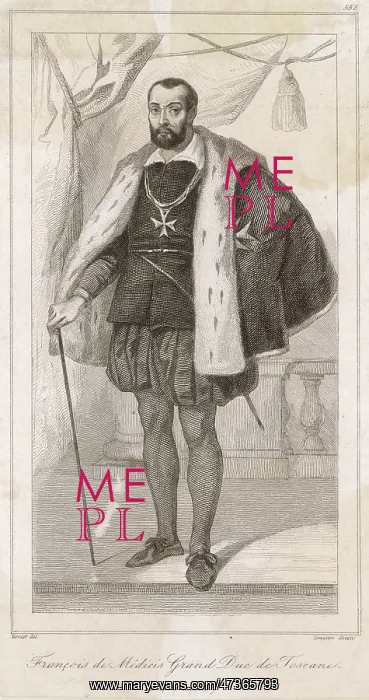 : FRANCESCO DE MEDICI : FRANCESCO DE MEDICI