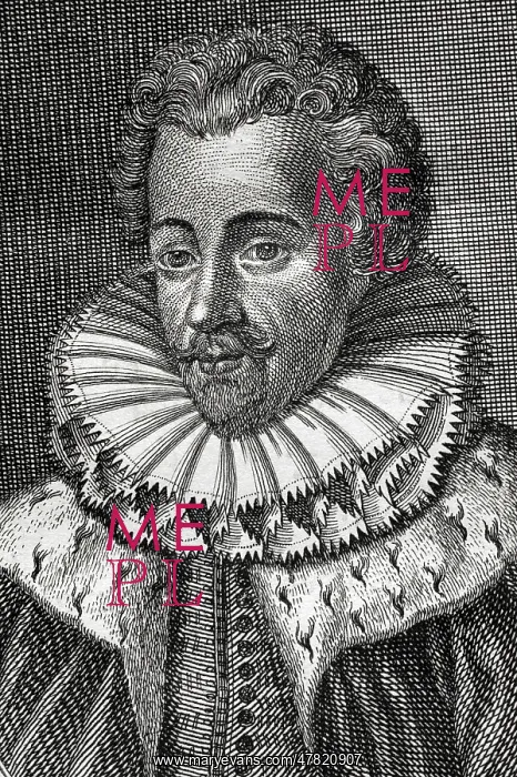 : Francis of Anjou (1554-1584) Detail : Francis of Anjou (1554-1584) Detail