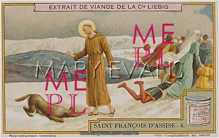  : FRANCIS ASSISI