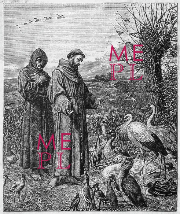  : FRANCIS OF ASSISI & BIRD