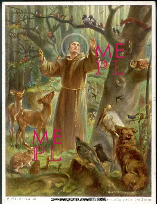  : Francis Assisi - Stubenr