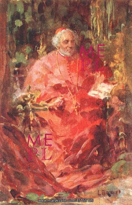 : A Franciscan Cardinal : A Franciscan Cardinal