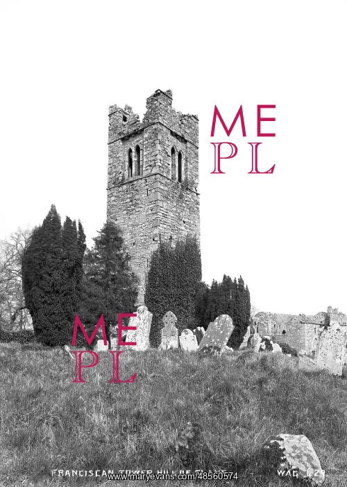 : Franciscan Tower, Hill of Slane : Franciscan Tower, Hill of Slane