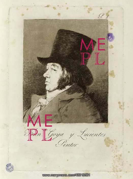 : Francisco Goya y Lucientes : Francisco Goya y Lucientes
