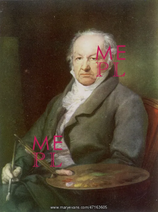: Francisco Jose de Goya Y Lucientes : Francisco Jose de Goya Y Lucientes