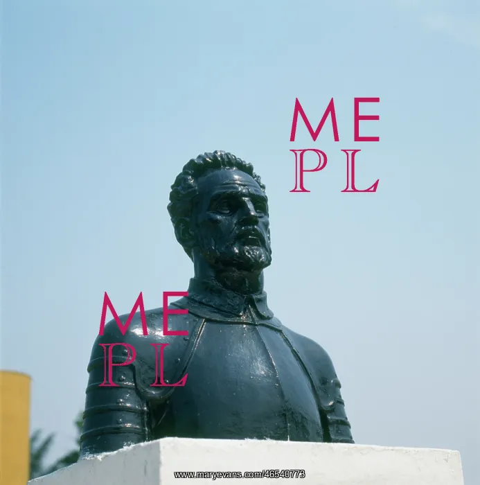 : FRANCISCO DE ORELLANA : FRANCISCO DE ORELLANA
