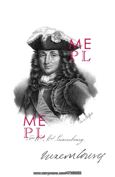 : FRANCOIS DUC LUXEMBOURG : FRANCOIS DUC LUXEMBOURG