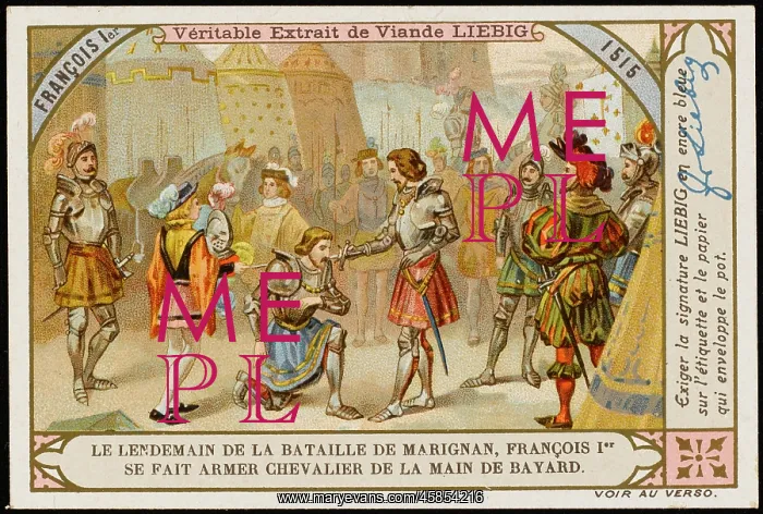 : FRANCOIS I KNIGHTED : FRANCOIS I KNIGHTED