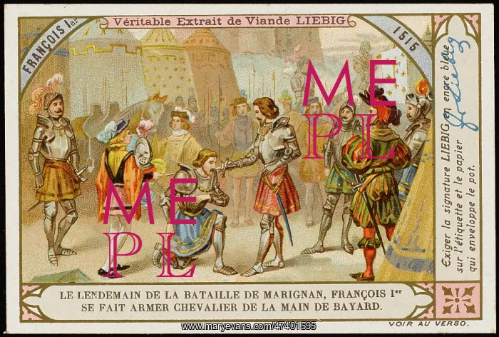 : FRANCOIS I KNIGHTED : FRANCOIS I KNIGHTED