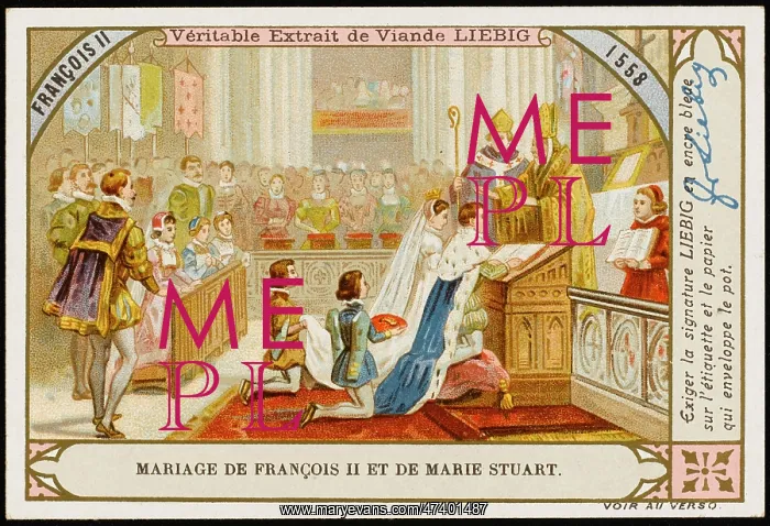 : FRANCOIS II WEDS MARY : FRANCOIS II WEDS MARY