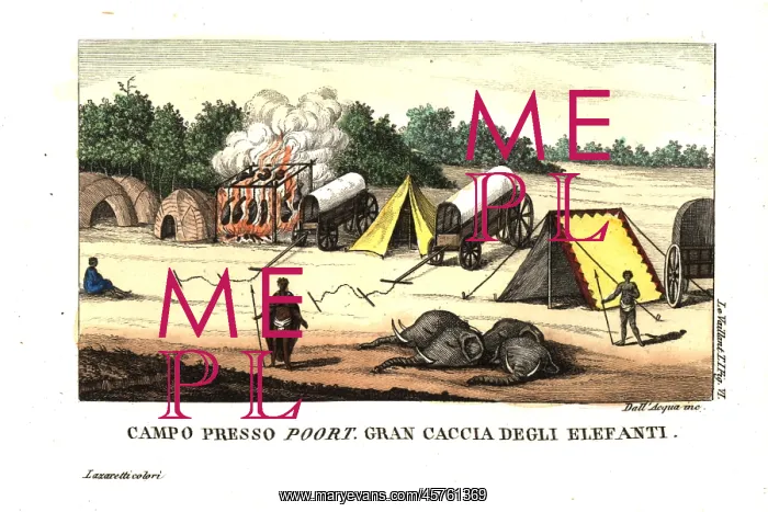 : Francois Le Vaillant's camp at Poort after : Francois Le Vaillant's camp at Poort after