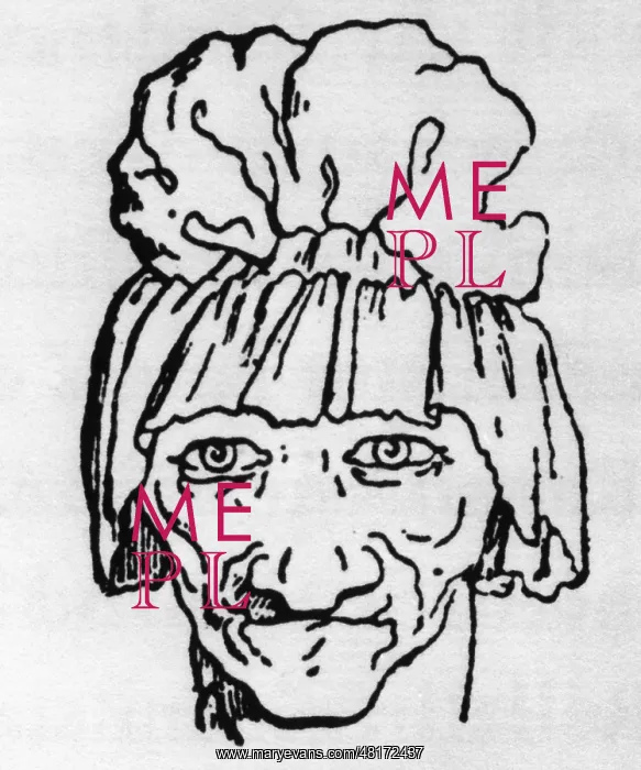 : Francois Voltaire : Francois Voltaire