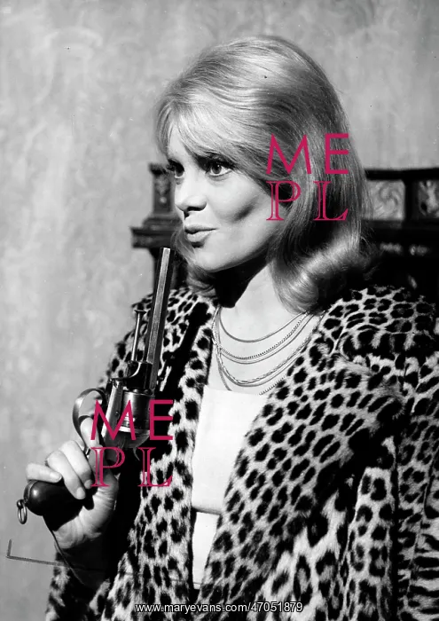 : Francoise Brion : Francoise Brion