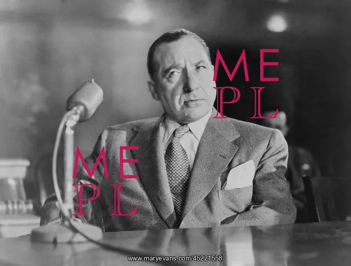 : Frank Costello (1891-1973), testifying before ? : Frank Costello (1891-1973), testifying before ?