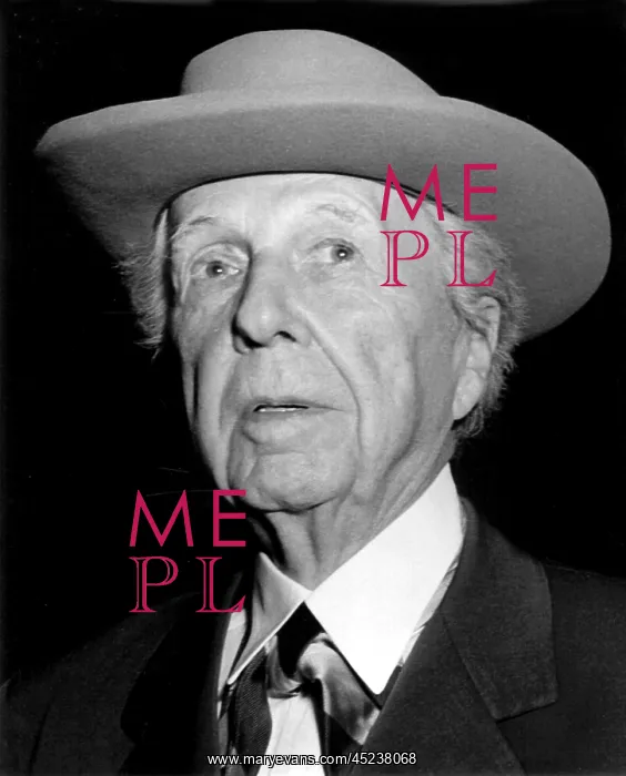 : Frank Lloyd Wright : Frank Lloyd Wright
